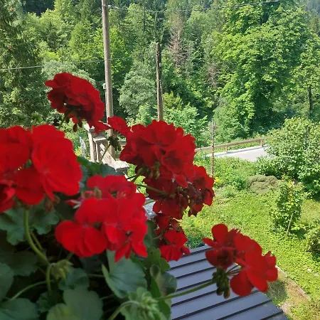 Guest house Gostisce Andrejc 3*