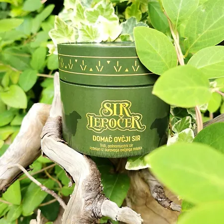 Gostisce Andrejc Soča