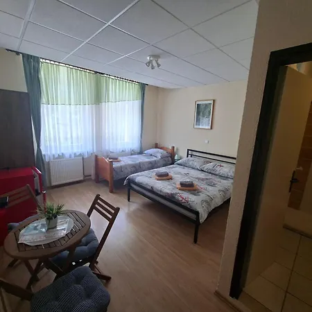 Gostisce Andrejc 3* Соча