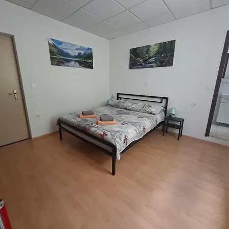 Gasthuis Gostisce Andrejc Soča