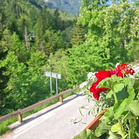 Gostisce Andrejc 3* Soča