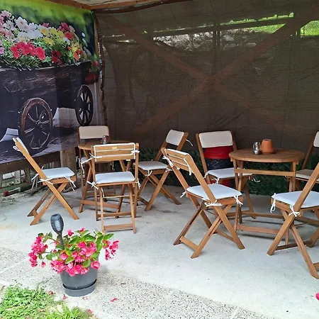 Gasthuis Gostisce Andrejc Soča