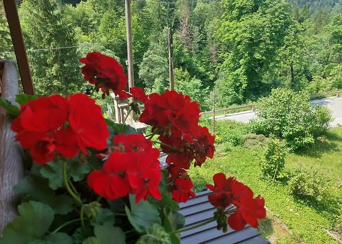 Casa de hóspedes Gostisce Andrejc 3*