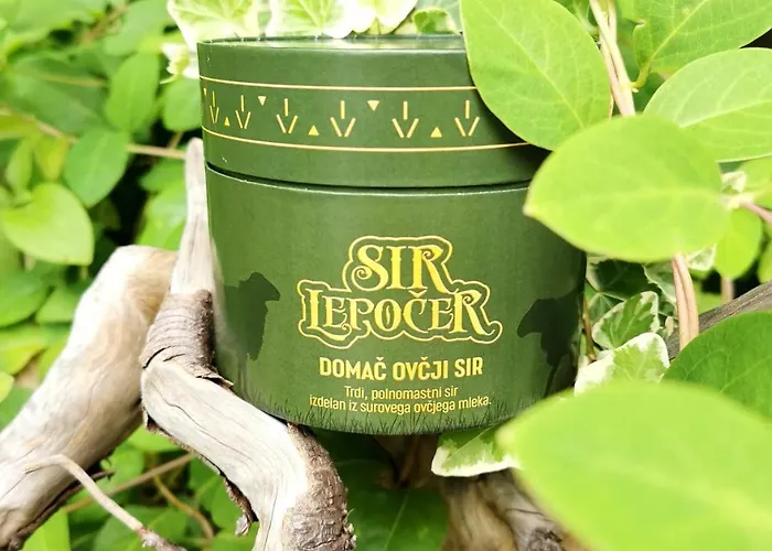 Gostisce Andrejc Soča