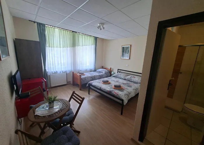 Gostisce Andrejc 3* Soča