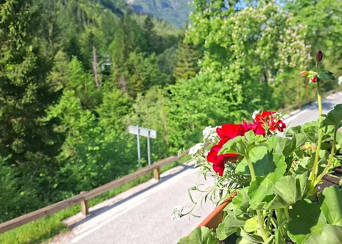 Gostisce Andrejc 3* Soča